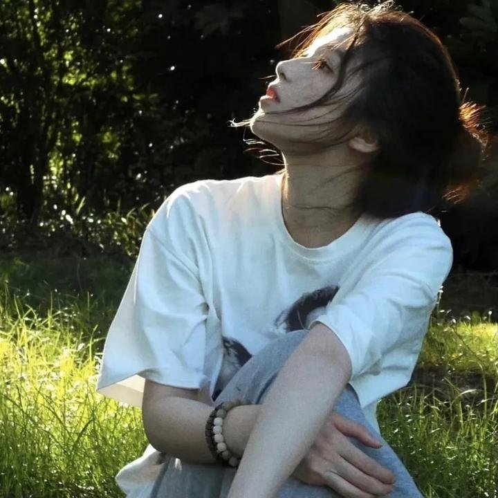 天降福宝送运来