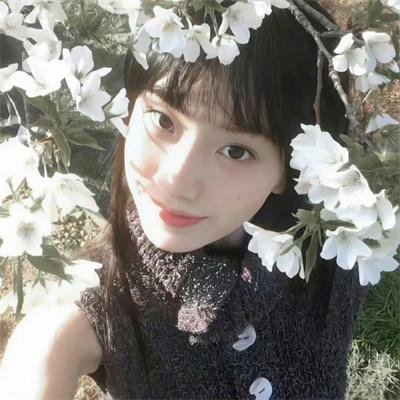 哥哥的飞驰人生